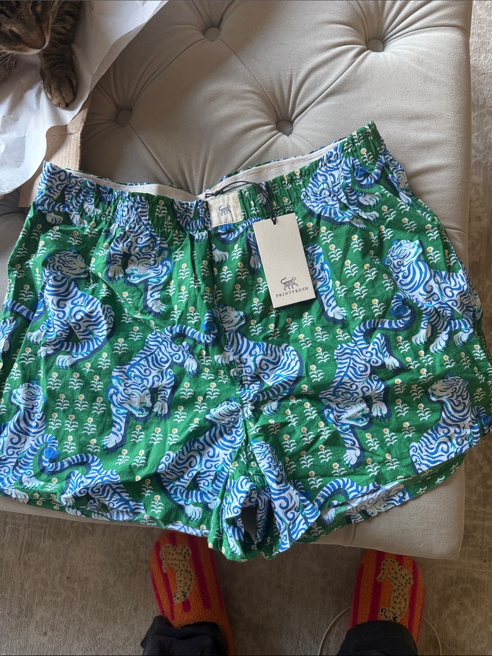 Printfresh Green Shorts with Blue & White Tiger Print Baghera